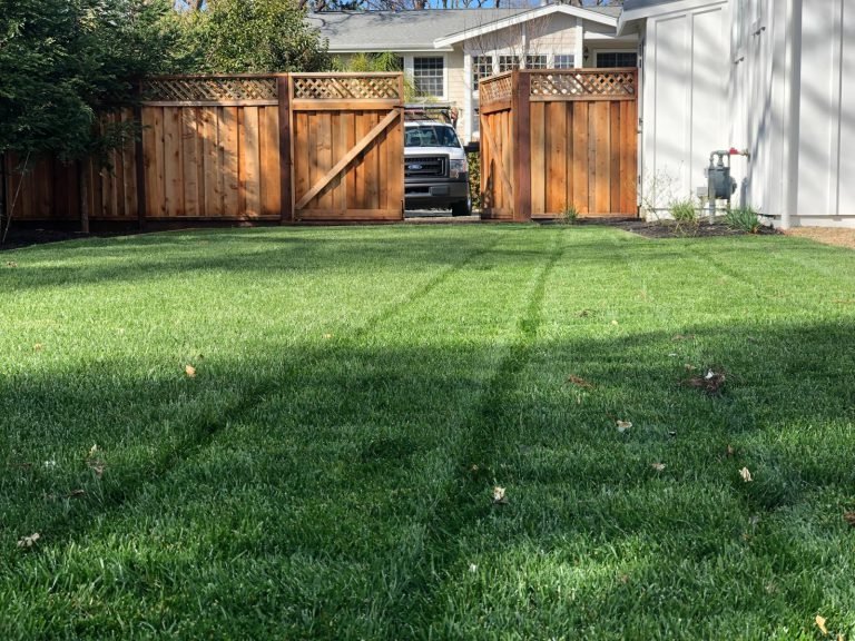 Landscaping project by HC Gardening & Landscaping in the East Bay Area