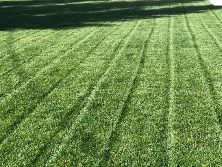 Landscaping project by HC Gardening & Landscaping in the East Bay Area