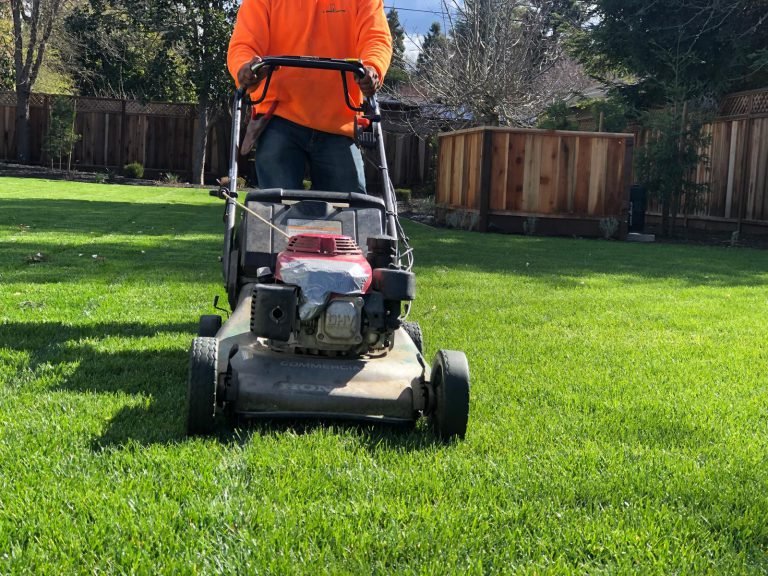 Landscaping project by HC Gardening & Landscaping in the East Bay Area