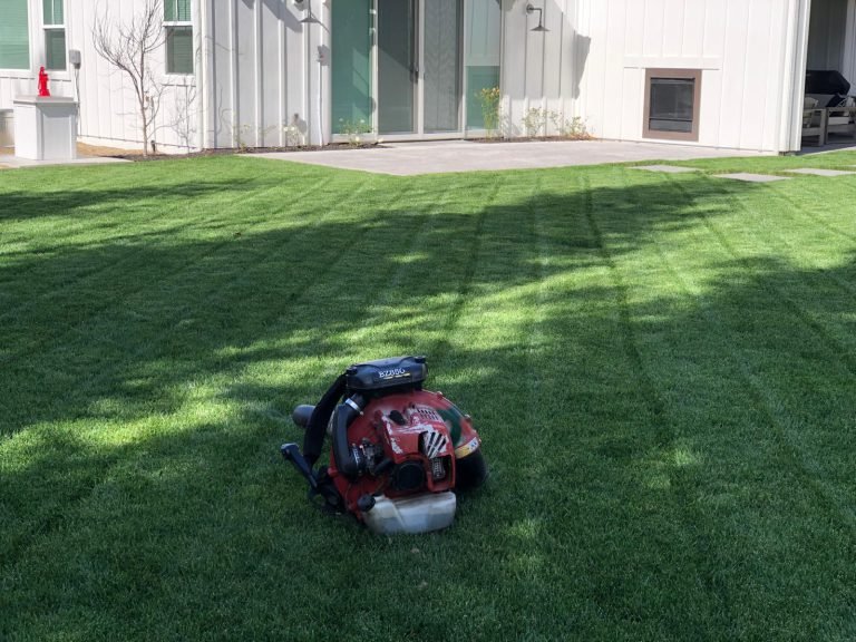 Landscaping project by HC Gardening & Landscaping in the East Bay Area