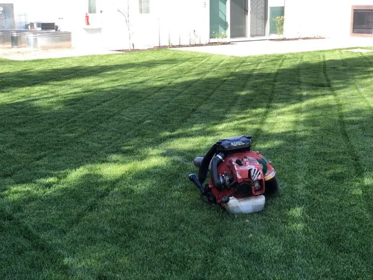 Landscaping project by HC Gardening & Landscaping in the East Bay Area