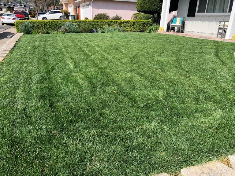 Landscaping project by HC Gardening & Landscaping in the East Bay Area