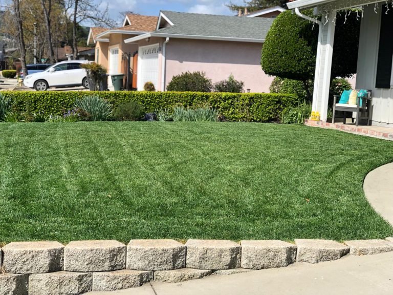 Landscaping project by HC Gardening & Landscaping in the East Bay Area