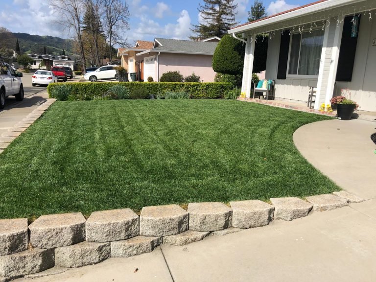 Landscaping project by HC Gardening & Landscaping in the East Bay Area