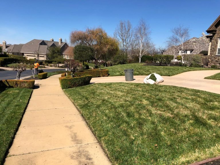 Landscaping project by HC Gardening & Landscaping in the East Bay Area