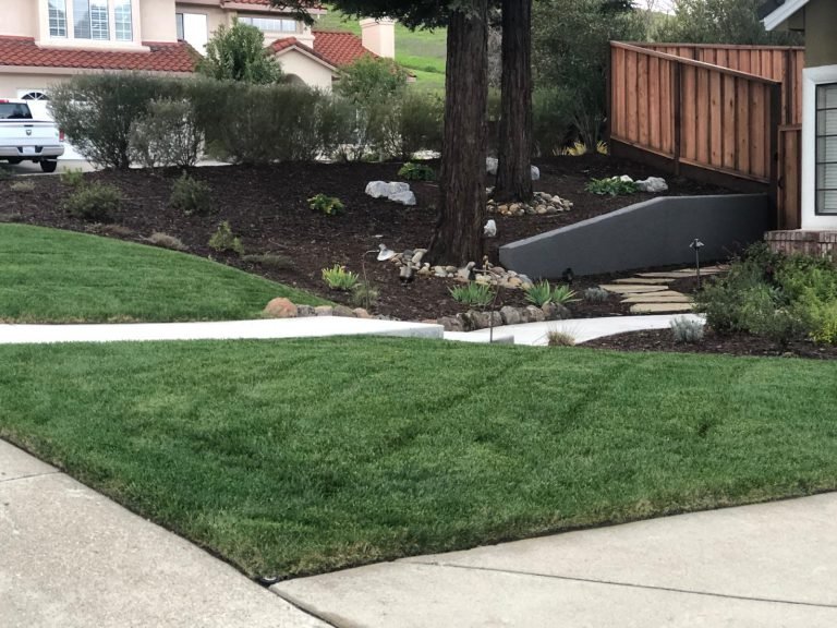 Landscaping project by HC Gardening & Landscaping in the East Bay Area