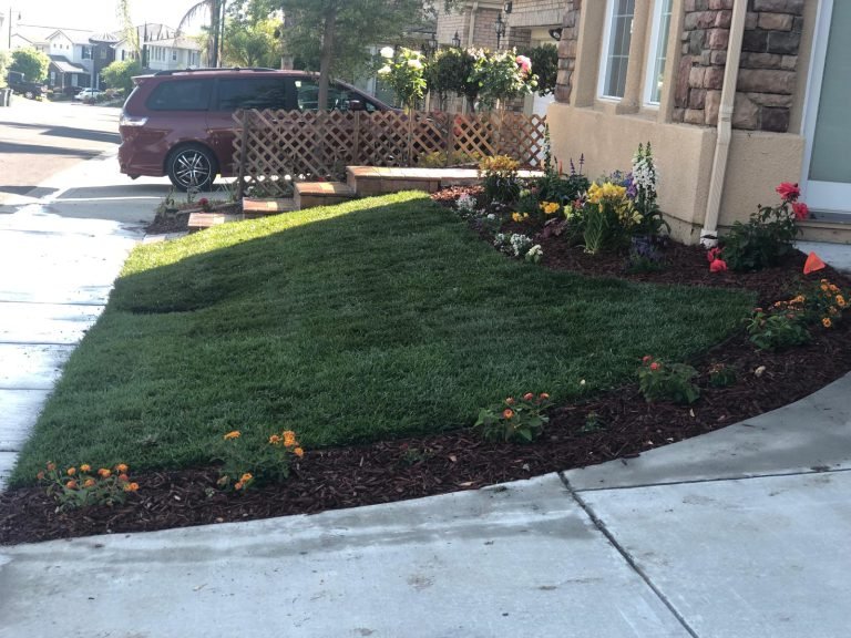 Landscaping project by HC Gardening & Landscaping in the East Bay Area
