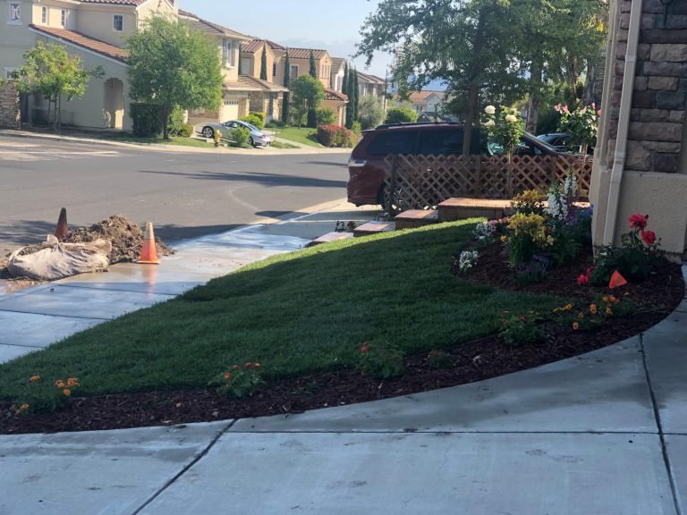 Landscaping project by HC Gardening & Landscaping in the East Bay Area