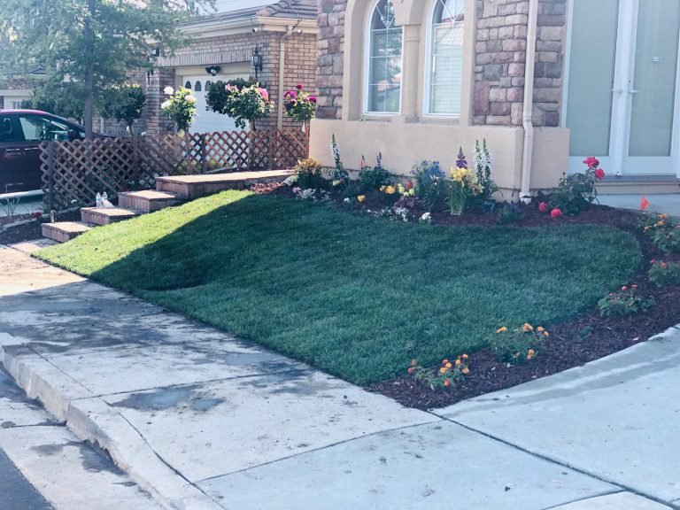 Landscaping project by HC Gardening & Landscaping in the East Bay Area