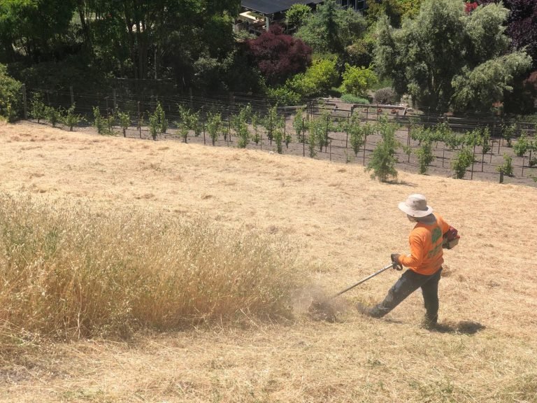 Landscaping project by HC Gardening & Landscaping in the East Bay Area