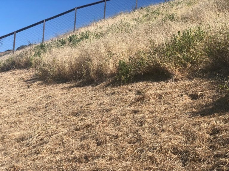 Landscaping project by HC Gardening & Landscaping in the East Bay Area