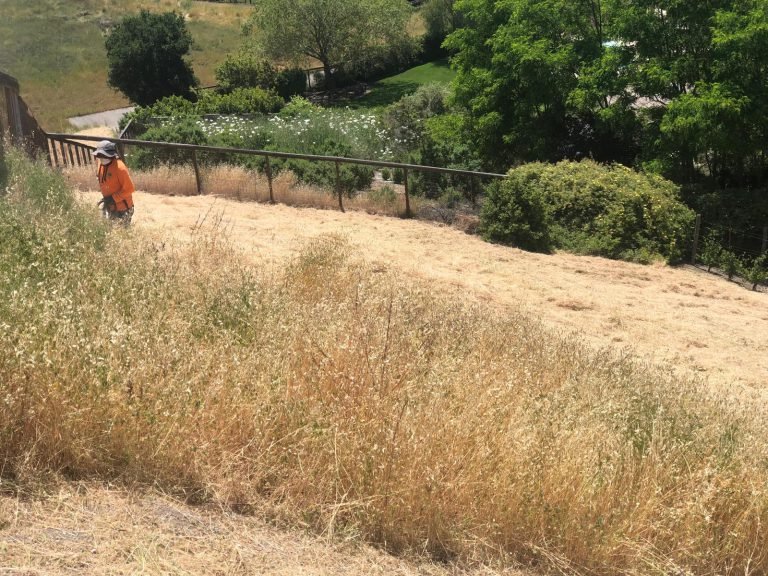 Landscaping project by HC Gardening & Landscaping in the East Bay Area