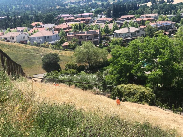 Landscaping project by HC Gardening & Landscaping in the East Bay Area
