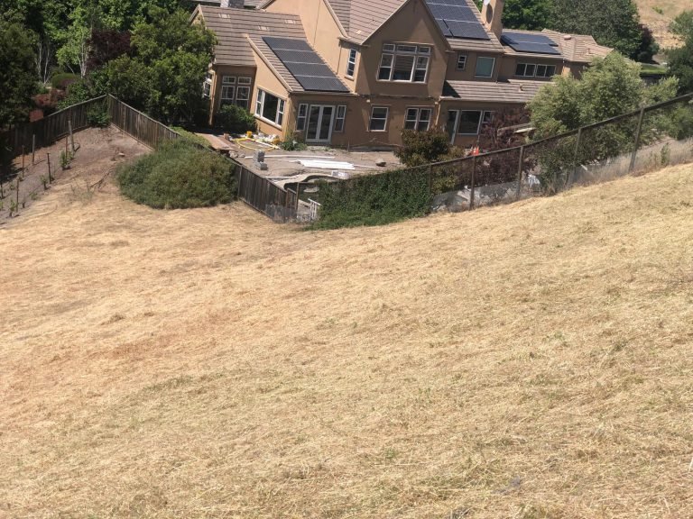Landscaping project by HC Gardening & Landscaping in the East Bay Area
