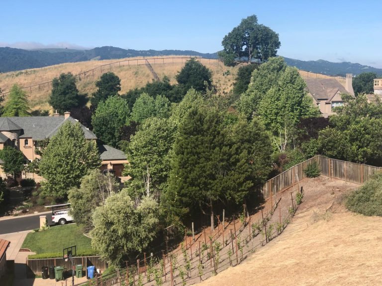 Landscaping project by HC Gardening & Landscaping in the East Bay Area