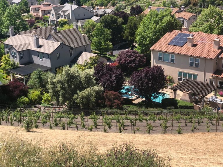 Landscaping project by HC Gardening & Landscaping in the East Bay Area