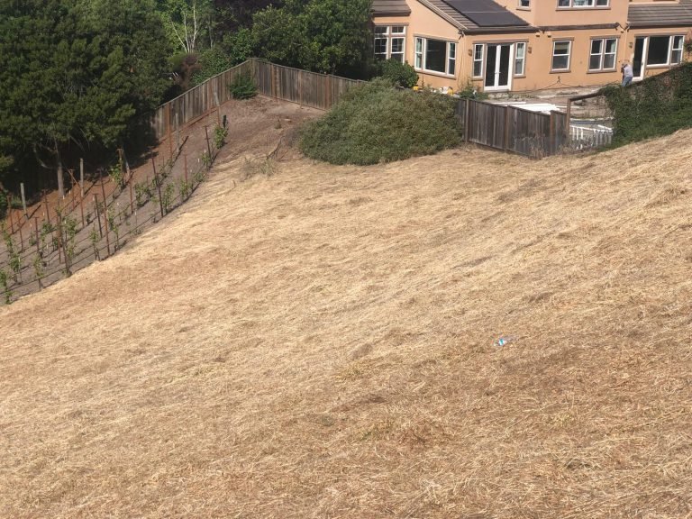 Landscaping project by HC Gardening & Landscaping in the East Bay Area