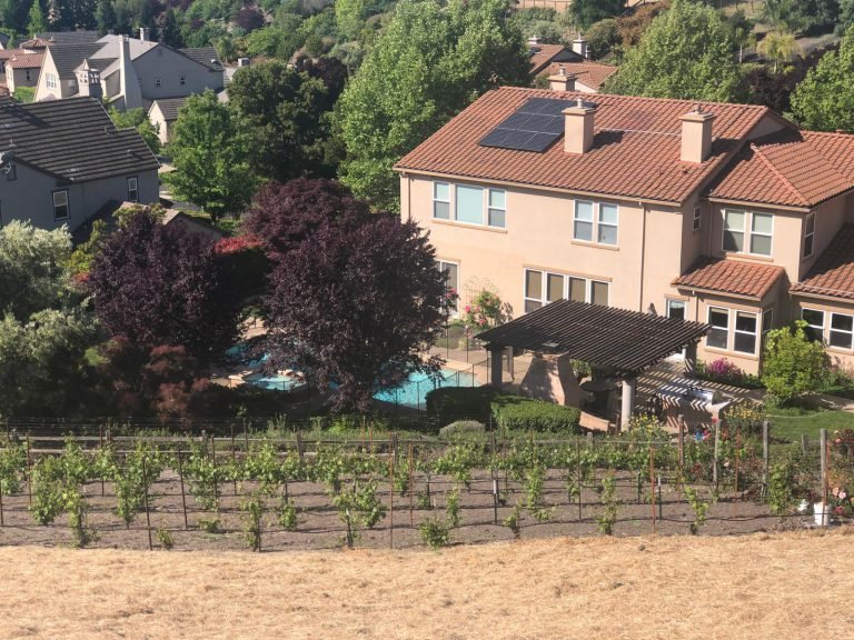 Landscaping project by HC Gardening & Landscaping in the East Bay Area