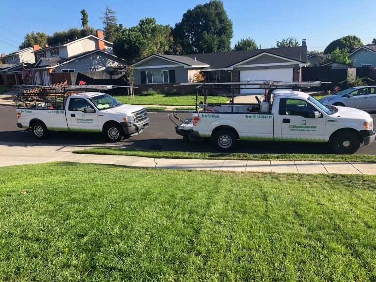 Landscaping project by HC Gardening & Landscaping in the East Bay Area