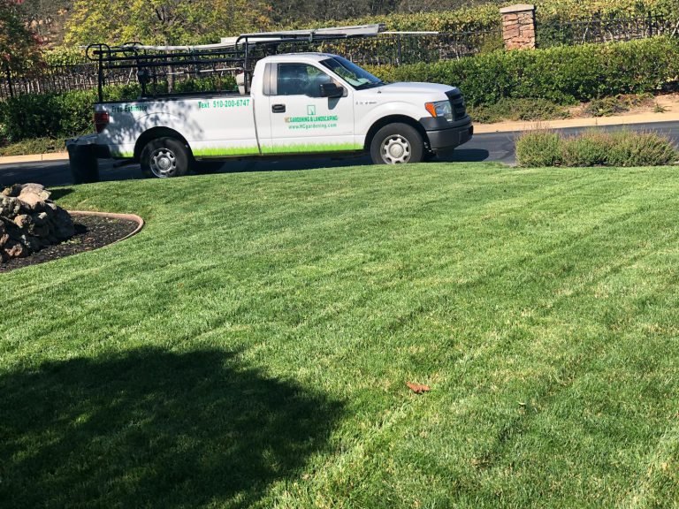 Landscaping project by HC Gardening & Landscaping in the East Bay Area