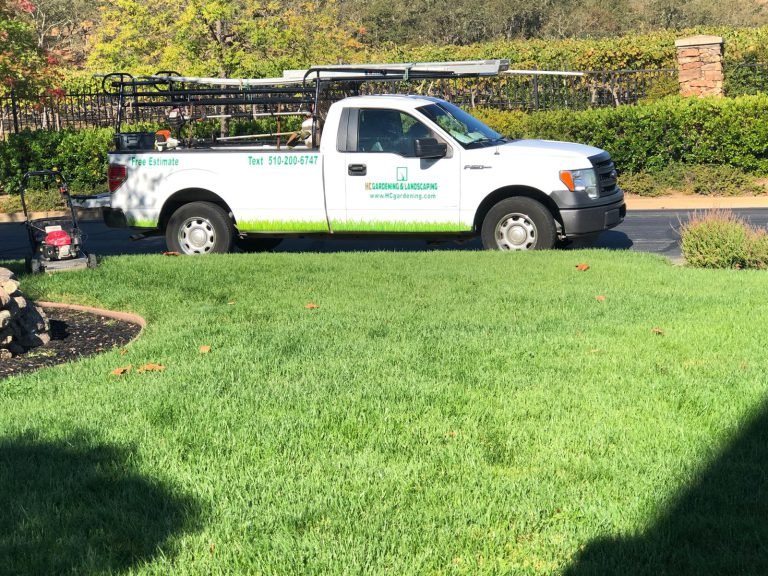 Landscaping project by HC Gardening & Landscaping in the East Bay Area
