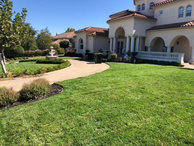 Landscaping project by HC Gardening & Landscaping in the East Bay Area
