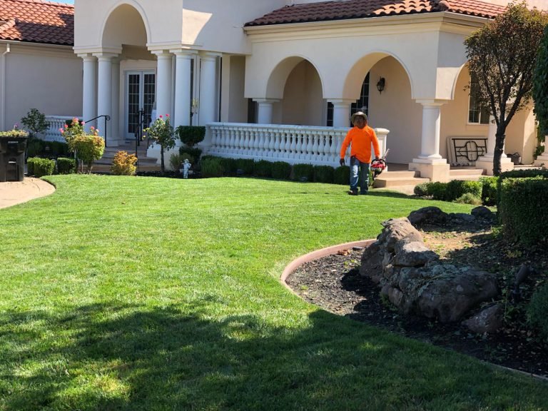 Landscaping project by HC Gardening & Landscaping in the East Bay Area
