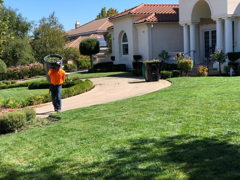 Landscaping project by HC Gardening & Landscaping in the East Bay Area