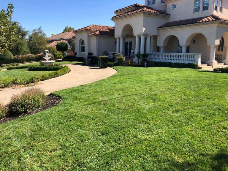 Landscaping project by HC Gardening & Landscaping in the East Bay Area