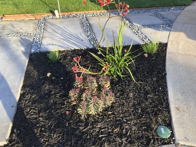Landscaping project by HC Gardening & Landscaping in the East Bay Area