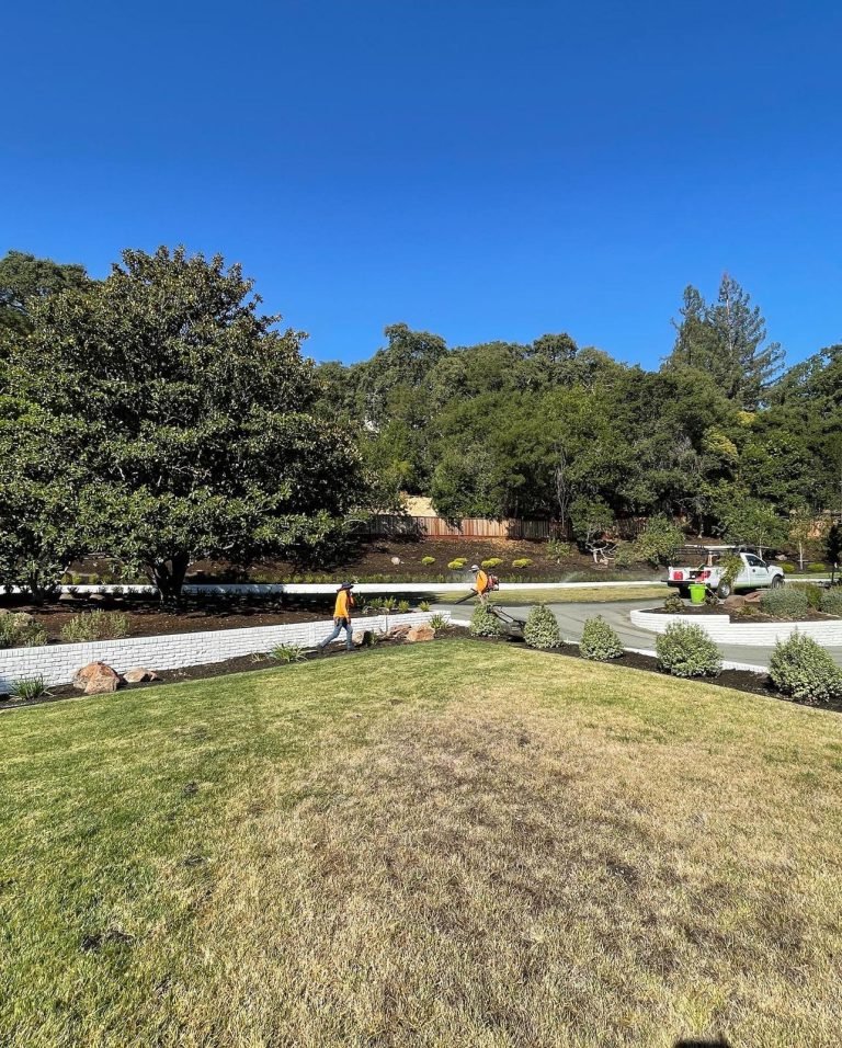 Landscaping project by HC Gardening & Landscaping in the East Bay Area