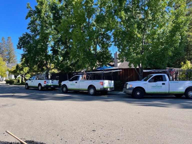 Landscaping project by HC Gardening & Landscaping in the East Bay Area