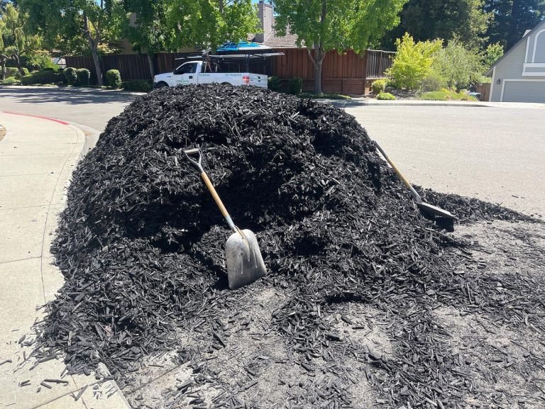 Landscaping project by HC Gardening & Landscaping in the East Bay Area