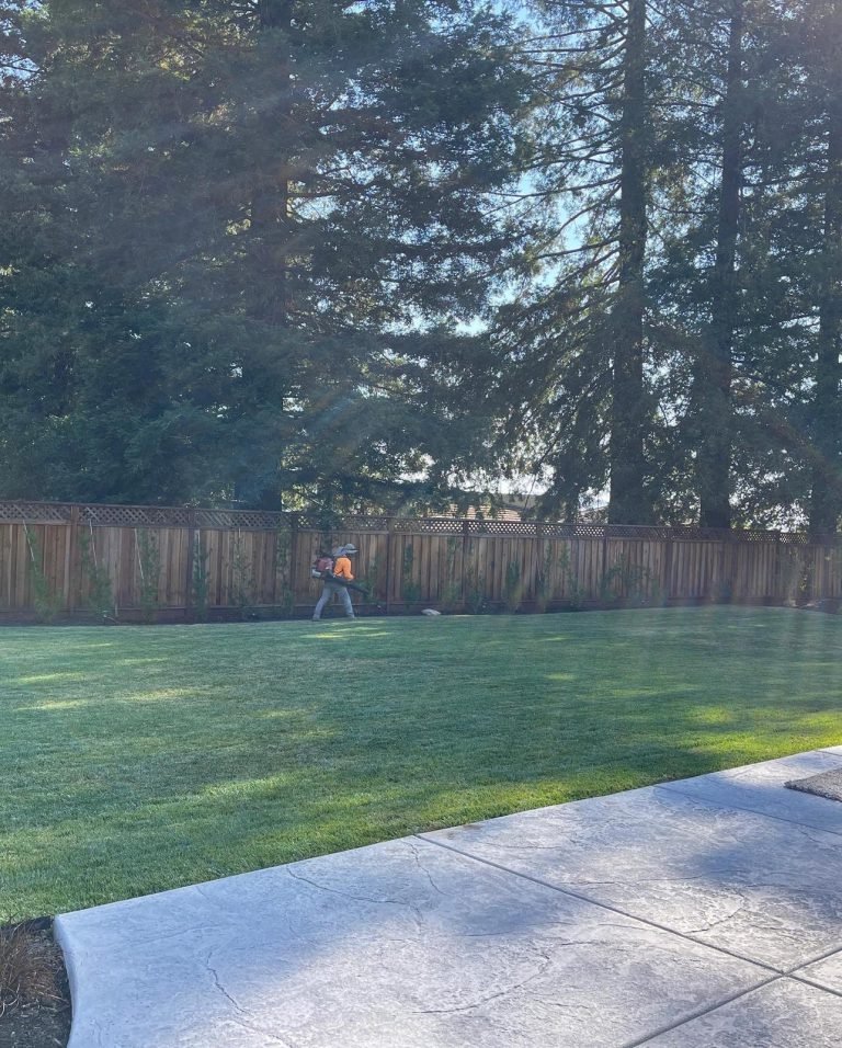 Landscaping project by HC Gardening & Landscaping in the East Bay Area