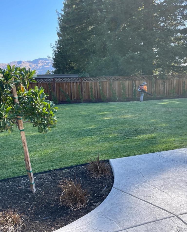 Landscaping project by HC Gardening & Landscaping in the East Bay Area