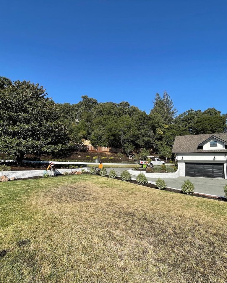 Landscaping project by HC Gardening & Landscaping in the East Bay Area