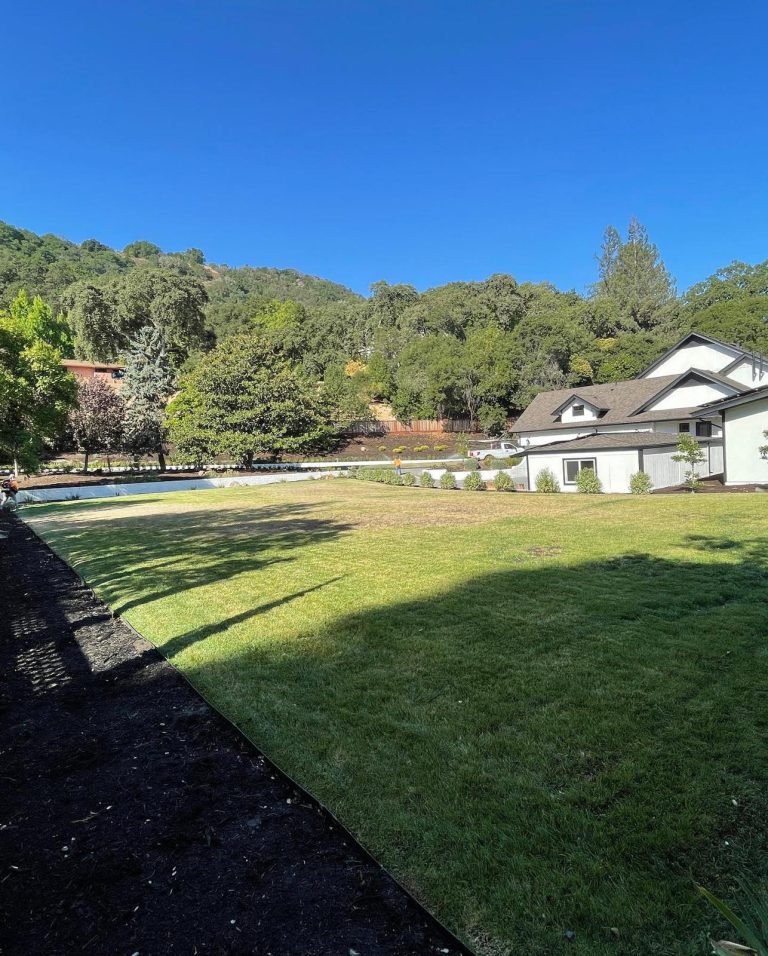 Landscaping project by HC Gardening & Landscaping in the East Bay Area