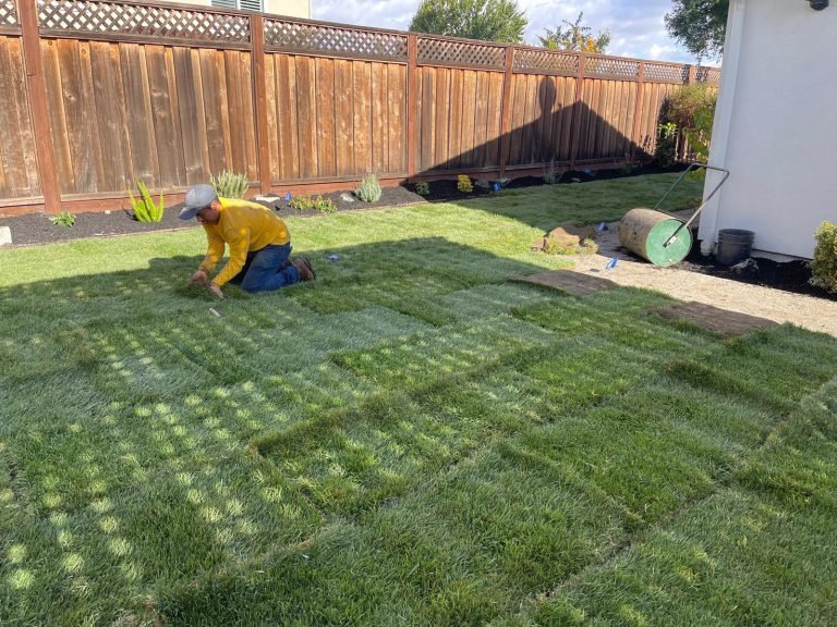 Landscaping project by HC Gardening & Landscaping in the East Bay Area