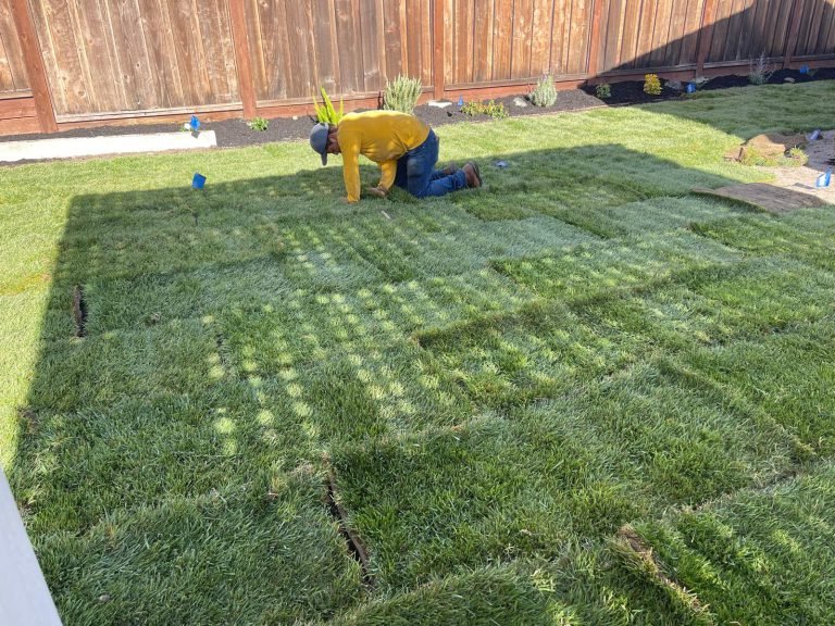 Landscaping project by HC Gardening & Landscaping in the East Bay Area