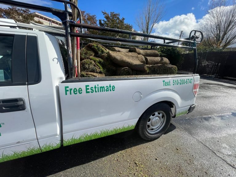 Landscaping project by HC Gardening & Landscaping in the East Bay Area
