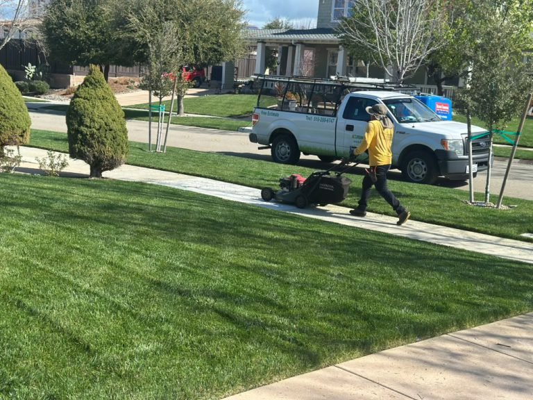 Landscaping project by HC Gardening & Landscaping in the East Bay Area