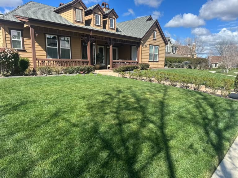 Landscaping project by HC Gardening & Landscaping in the East Bay Area