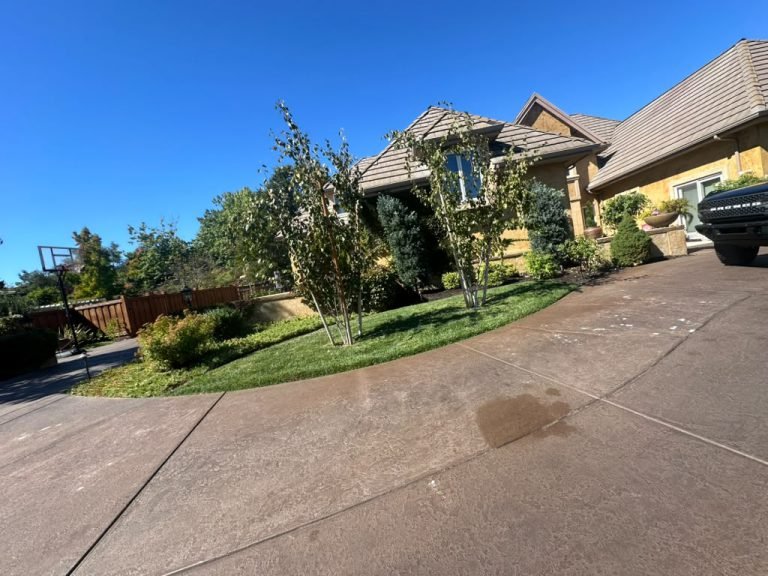 Landscaping project by HC Gardening & Landscaping in the East Bay Area