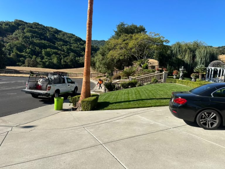 Landscaping project by HC Gardening & Landscaping in the East Bay Area