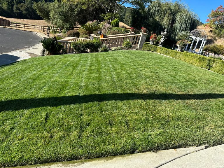 Landscaping project by HC Gardening & Landscaping in the East Bay Area