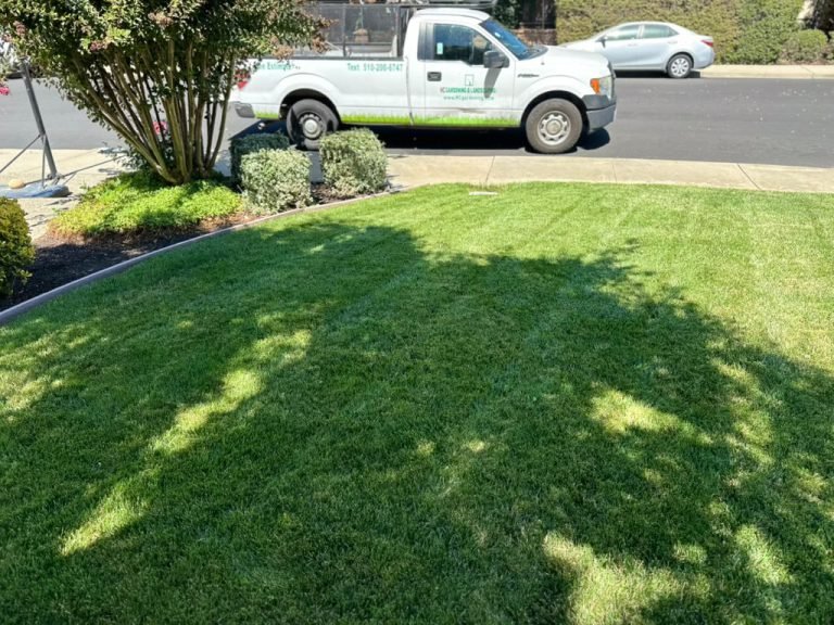 Landscaping project by HC Gardening & Landscaping in the East Bay Area