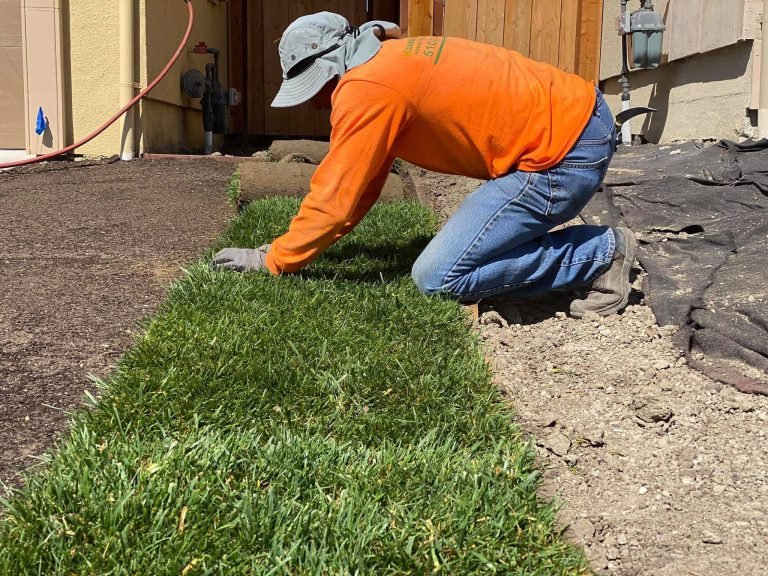 Landscaping project by HC Gardening & Landscaping in the East Bay Area
