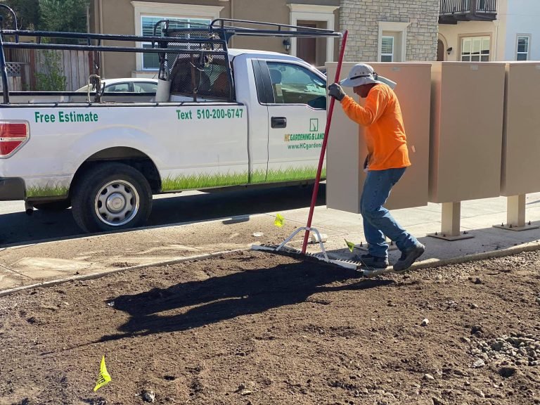 Landscaping project by HC Gardening & Landscaping in the East Bay Area