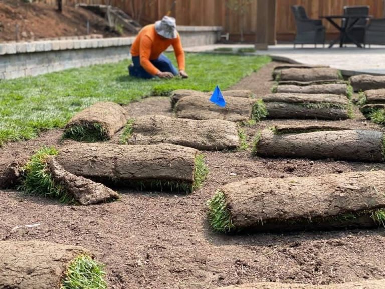 Landscaping project by HC Gardening & Landscaping in the East Bay Area