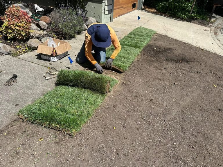 Landscaping project by HC Gardening & Landscaping in the East Bay Area